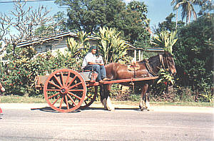 Nuku'alofa